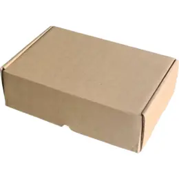 Shipping Box - Large Rectangle Closed